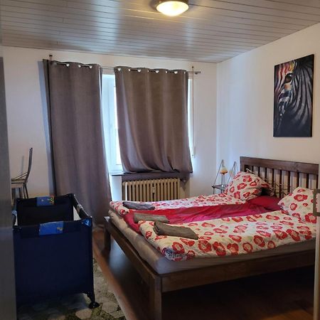 Apartments Nikol - Ludwigshafen Экстерьер фото
